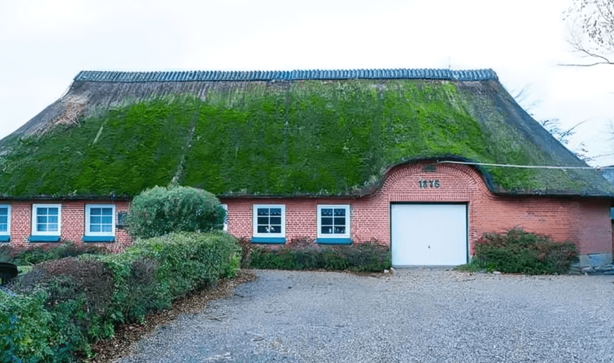 Moss Removal